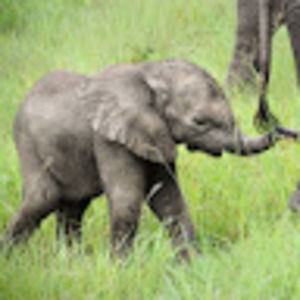 Meet your Posher, Katelynn